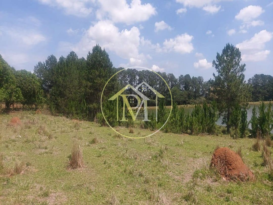 Fazenda, 44 hectares - Foto 9