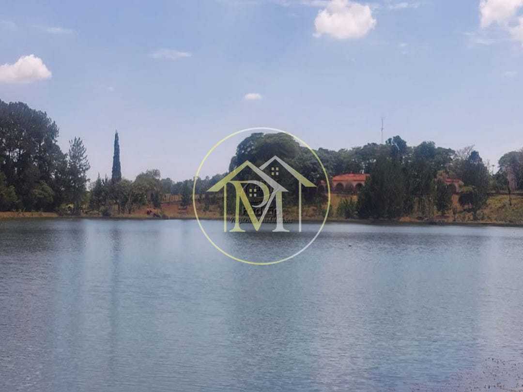 Fazenda, 44 hectares - Foto 12