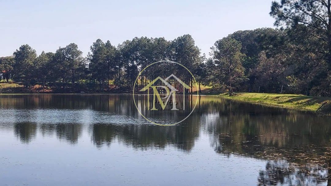 Fazenda, 44 hectares - Foto 60