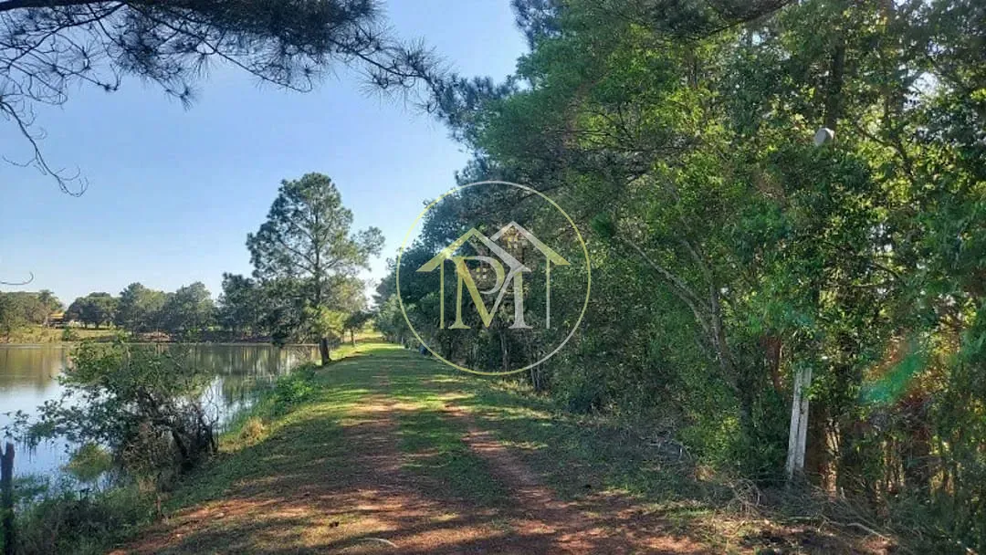 Fazenda, 44 hectares - Foto 64