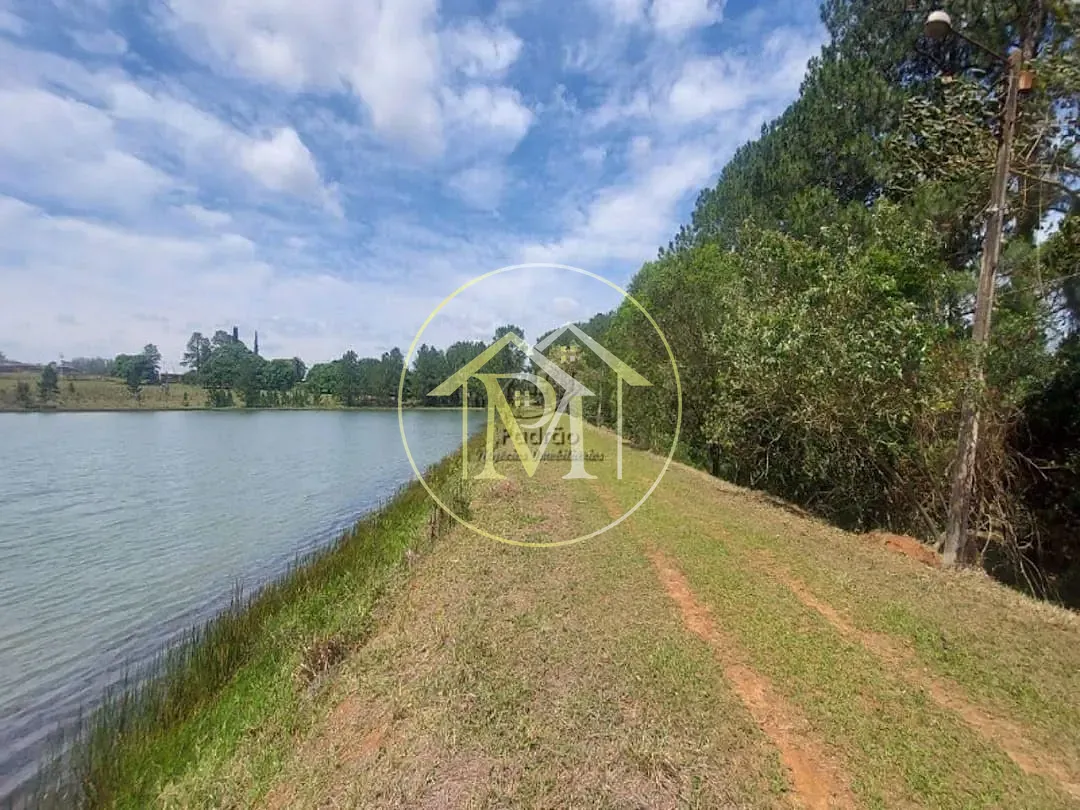 Fazenda, 44 hectares - Foto 14