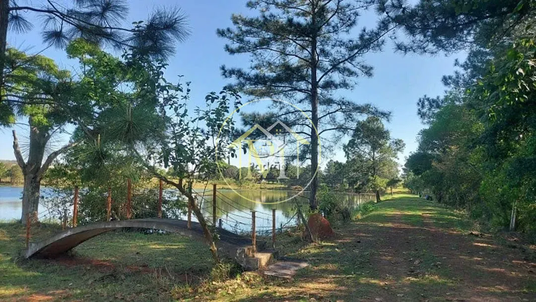 Fazenda, 44 hectares - Foto 63