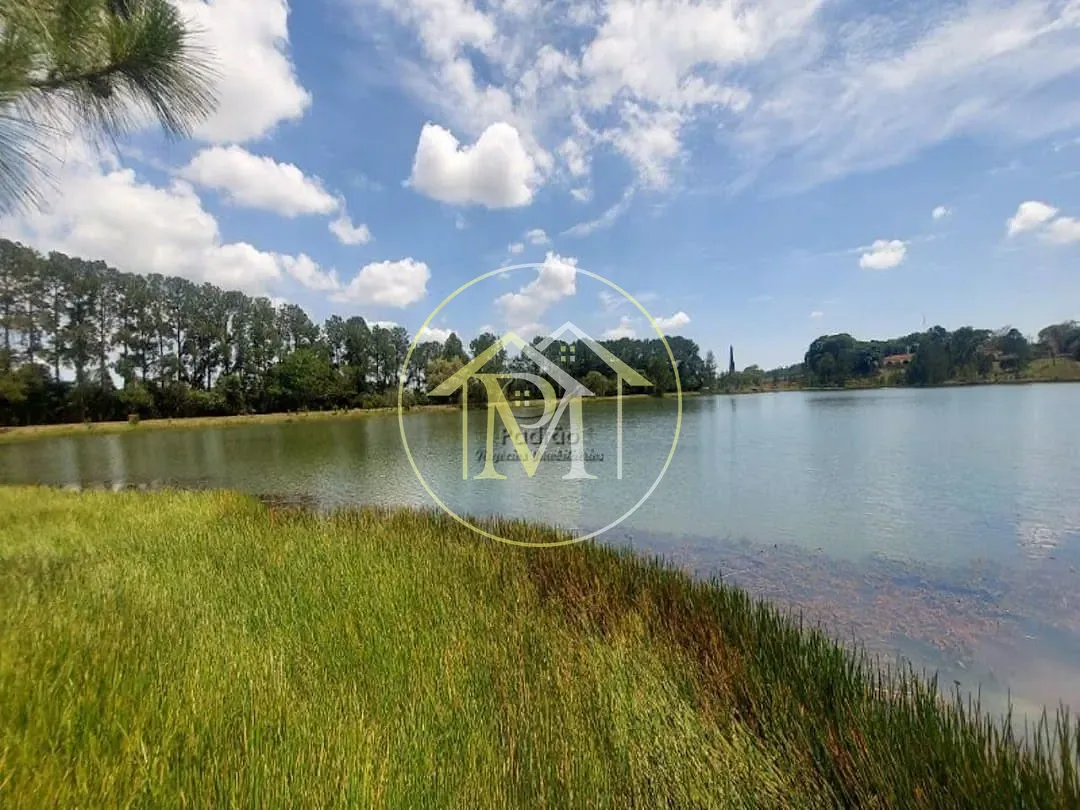 Fazenda, 44 hectares - Foto 11