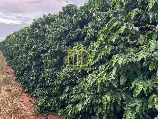 Sítio com 242000m², à venda, no bairro Palmeiral em Botelhos