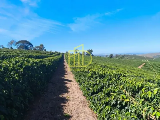 Sítio com 242000m², à venda, no bairro Palmeiral em Botelhos