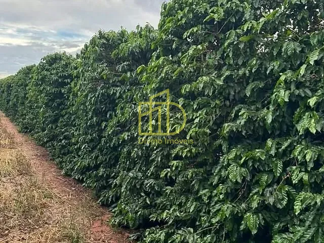 Sítio com 242000m², à venda, no bairro Palmeiral em Botelhos