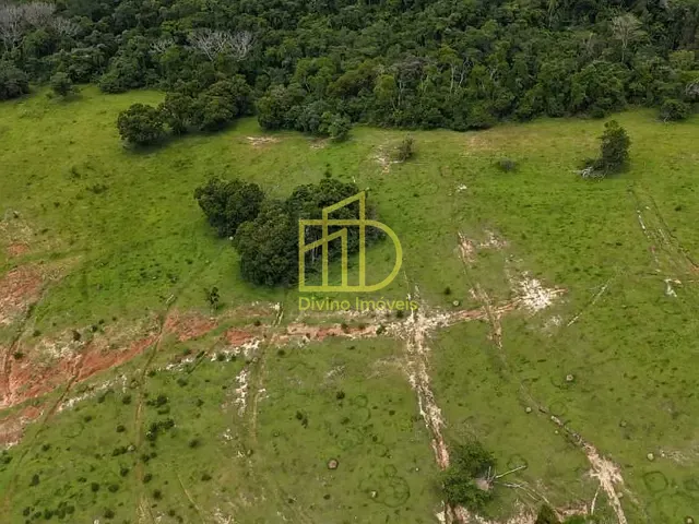 Sítio com 159478m², à venda, no bairro Vila Nova Itapetininga em Itapetininga