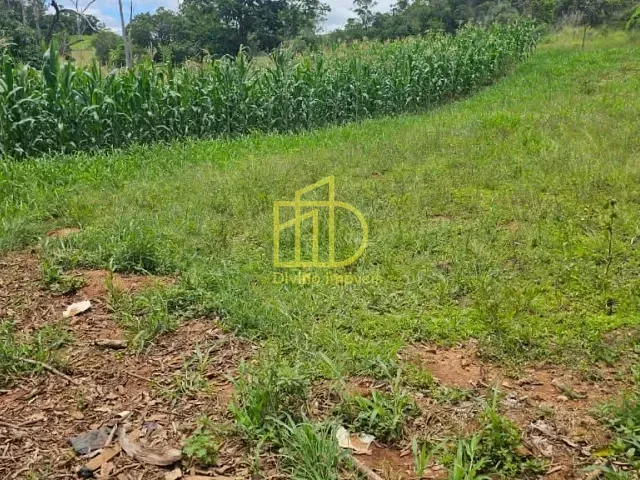 Sítio com 159478m², à venda, no bairro Vila Nova Itapetininga em Itapetininga