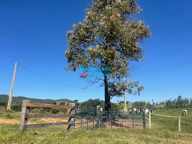 Sítio com 205700m², à venda, no bairro Tapiratiba em Tapiratiba