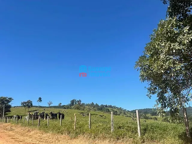 Sítio com 205700m², à venda, no bairro Tapiratiba em Tapiratiba
