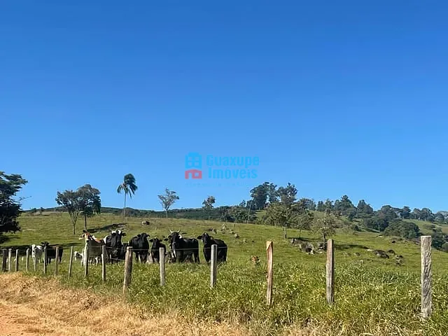 Sítio com 205700m², à venda, no bairro Tapiratiba em Tapiratiba