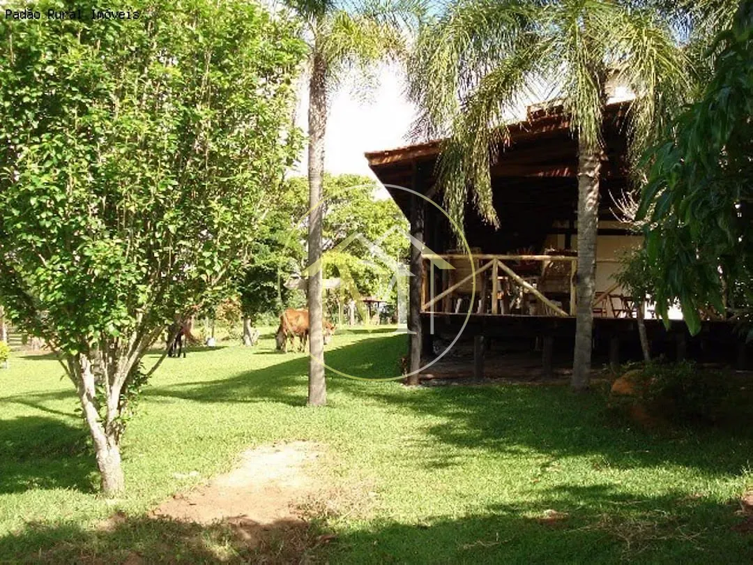Sítio, 3 quartos, 5 hectares - Foto 10