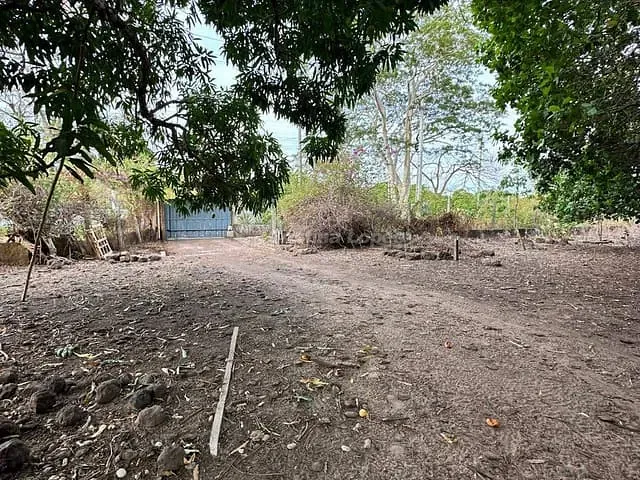 Sítio com 60000m² 4 quartos e 1 banheiro, à venda, no bairro Área Rural em Teresina