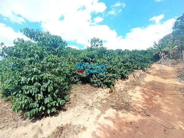 Sítio com 350m² 4 quartos e 2 banheiros, à venda, no bairro ZONA RURAL em Guaxupé