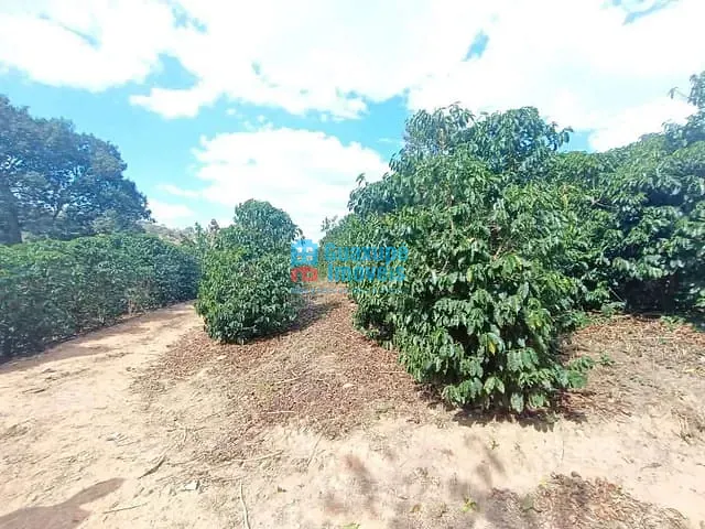 Sítio com 350m² 4 quartos e 2 banheiros, à venda, no bairro ZONA RURAL em Guaxupé