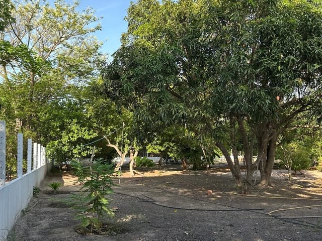 Foto do Sítio - Sítio à venda, Povoado Ladeira de Terra, Teresina, PI | Cristina Lopes Imobiliária