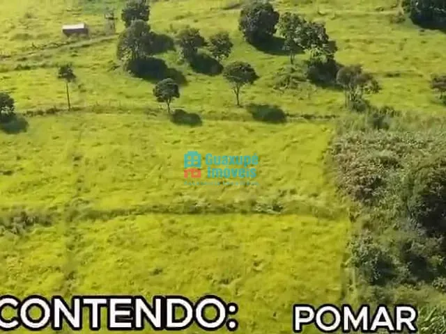 Sítio com 71456m² 1 quarto e 1 banheiro, à venda, no bairro RURAL em Guaxupé