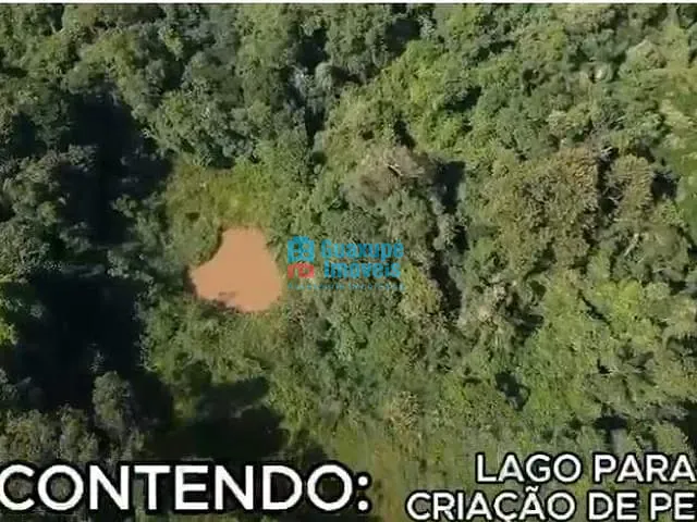 Sítio com 71456m² 1 quarto e 1 banheiro, à venda, no bairro RURAL em Guaxupé