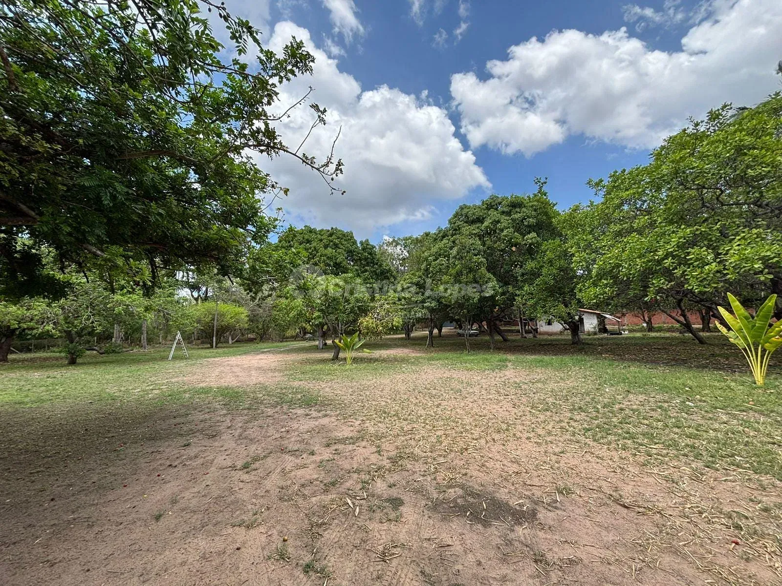 Sítio, 6 quartos, 3 hectares - Foto 9
