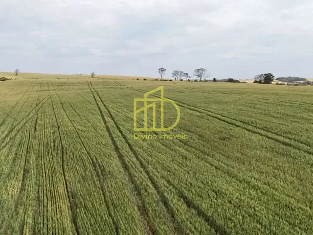 Sítio com 357676m², à venda, no bairro Área Rural em Itapetininga