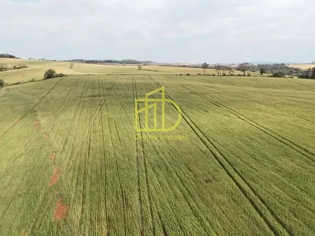 Sítio com 357676m², à venda, no bairro Área Rural em Itapetininga