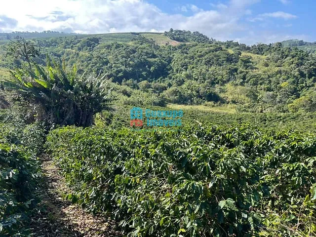 Sítio com 40000m² 1 quarto e 1 banheiro, à venda, no bairro Vila Rica em Guaxupé