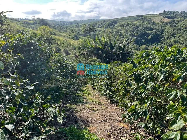 Sítio com 40000m² 1 quarto e 1 banheiro, à venda, no bairro Vila Rica em Guaxupé