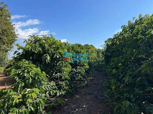 Sítio com 40000m² 1 quarto e 1 banheiro, à venda, no bairro Vila Rica em Guaxupé