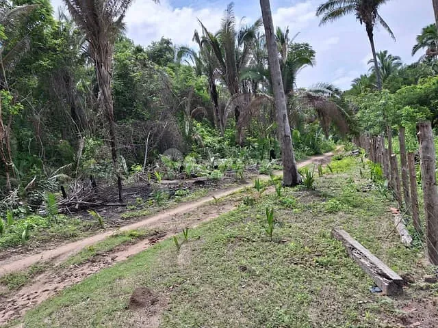 Sítio à venda, no bairro Zona Rural em Caxias