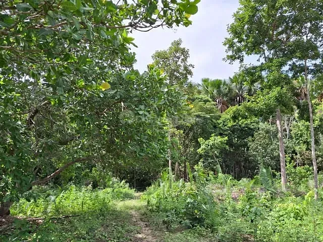 Sítio à venda, no bairro Zona Rural em Caxias
