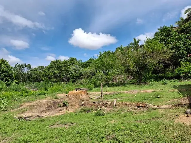Sítio à venda, no bairro Zona Rural em Caxias