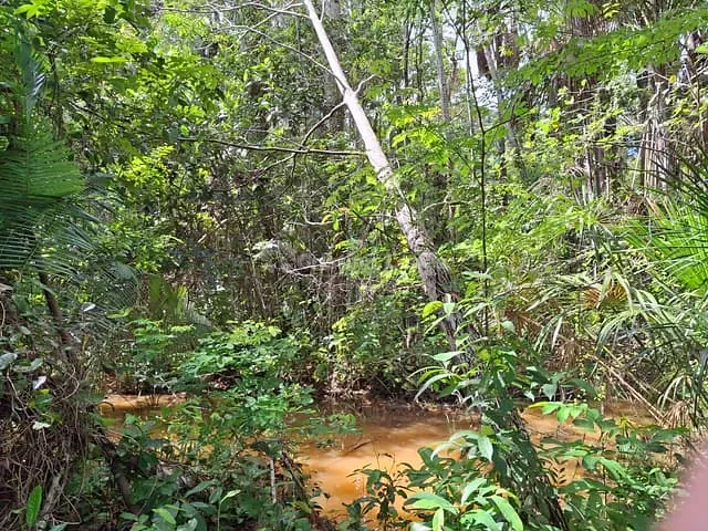 Sítio à venda, no bairro Zona Rural em Caxias
