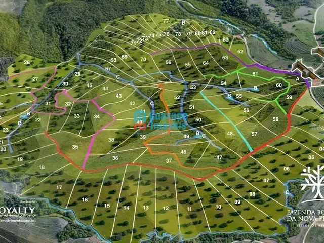 Sítio com 20000m², à venda, no bairro NOVA FLORESTA em Guaxupé