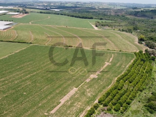 Foto do Sítio - Sítio à venda, 20000 m² por R$ 700.000 - Palmeirinha - Holambra/SP | MARIANA FURIO DE WIT CORRETORA DE SEGUROS E IMOVEIS LTDA
