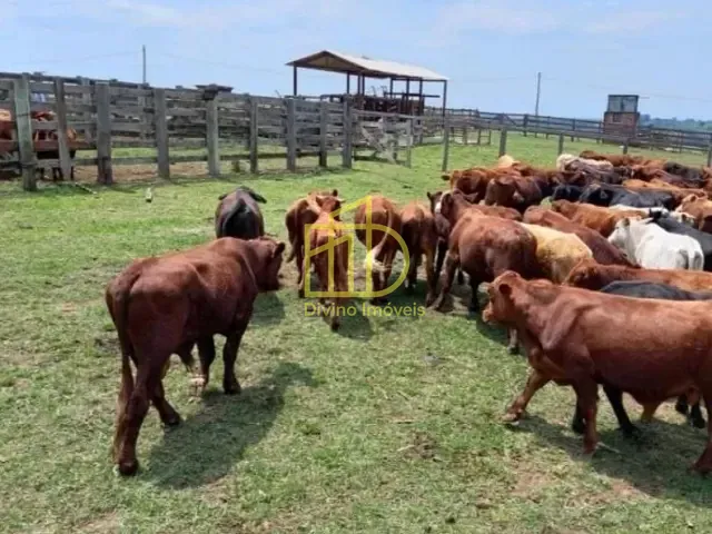 Sítio com 399300m², à venda, no bairro Área Rural em Itapetininga
