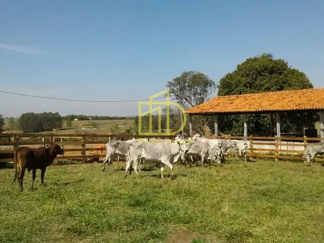 Sítio com 399300m², à venda, no bairro Área Rural em Itapetininga