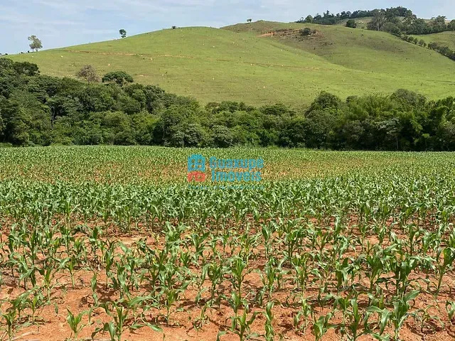 Sítio com 30000m² 2 quartos e 2 banheiros, à venda, no bairro O em São Pedro da União