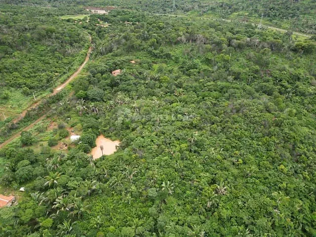 Sítio à venda, no bairro Zona Rural em Teresina