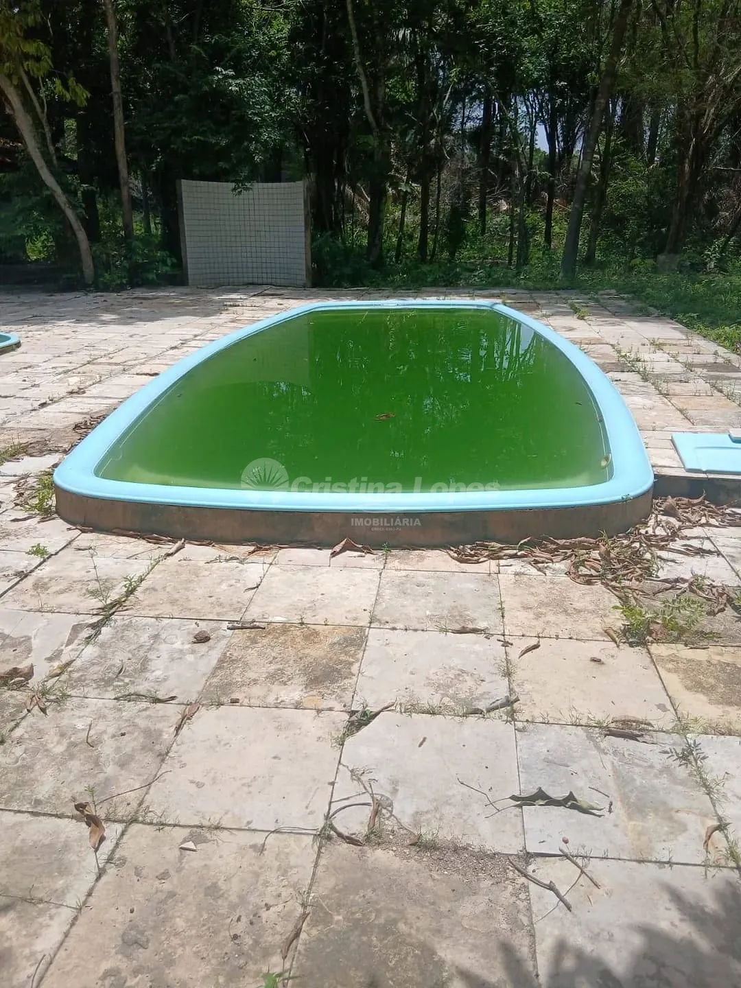 Sítio, 4 quartos, 10 m² - Foto 4