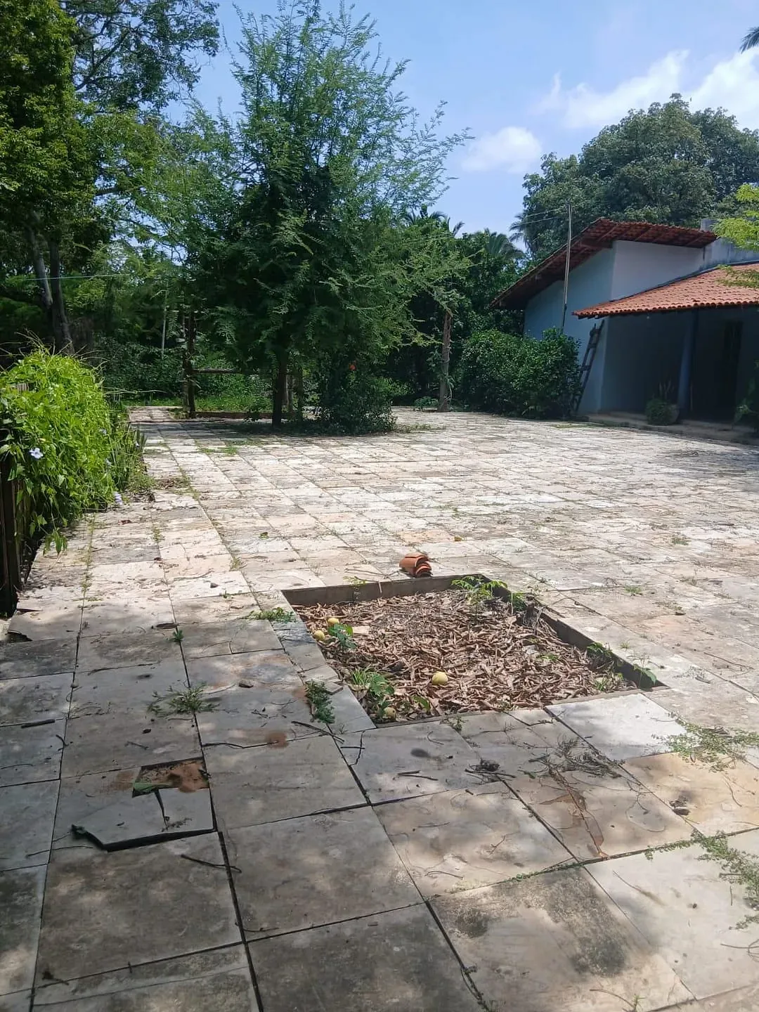 Sítio, 4 quartos, 10 m² - Foto 3