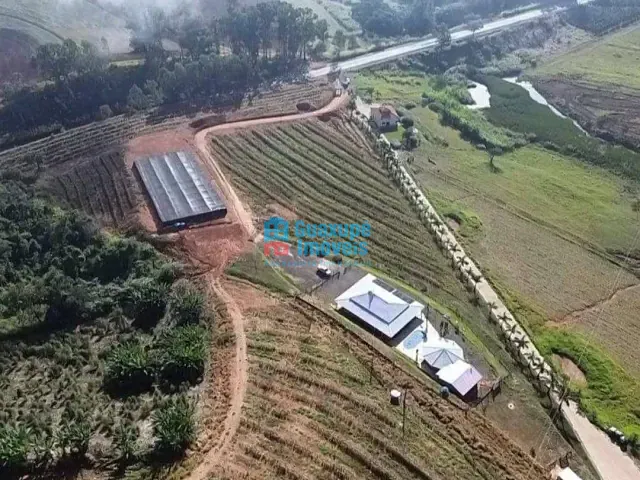 Sítio 3 quartos e 2 banheiros, à venda, no bairro rodovia 491 em Guaxupé