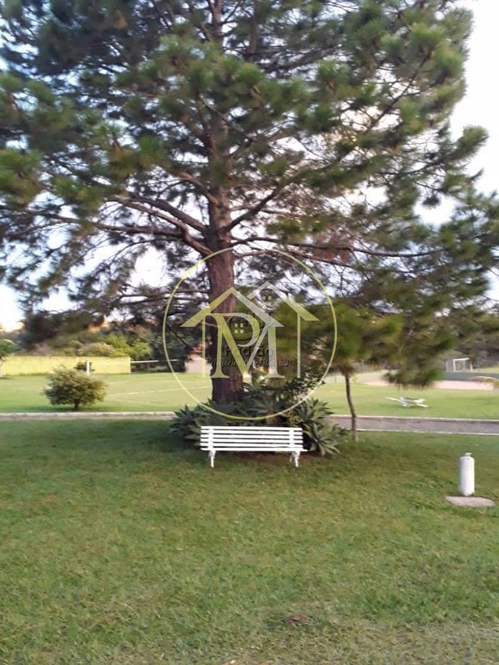 Sítio, 5 quartos, 212 m² - Foto 4