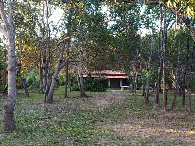 Sítio com 8409m² 2 quartos e 2 banheiros, à venda, no bairro Área Rural de Teresina em Teresina