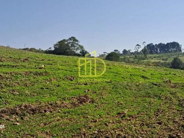 Sítio com 72600m² 3 quartos e 1 banheiro, à venda, no bairro Vila Sao Joao em São Miguel Arcanjo