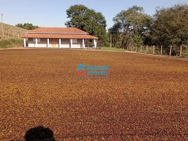 Sítio 3 quartos e 1 banheiro, à venda, no bairro municipio em Juruaia
