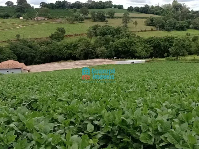Sítio 3 quartos e 1 banheiro, à venda, no bairro municipio em Juruaia