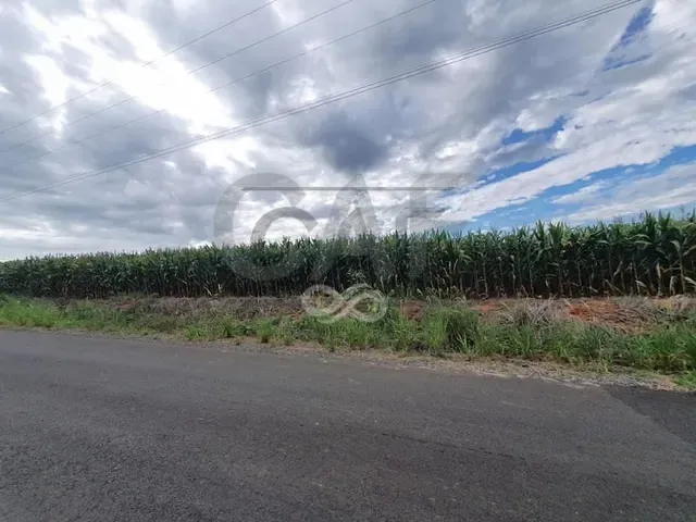 Sítio com 37000m², à venda, no bairro Pinhalzinho em Jaguariúna