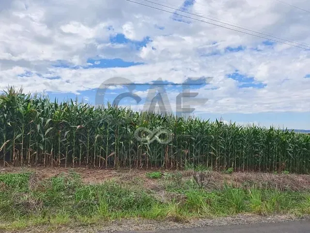 Sítio com 37000m², à venda, no bairro Pinhalzinho em Jaguariúna