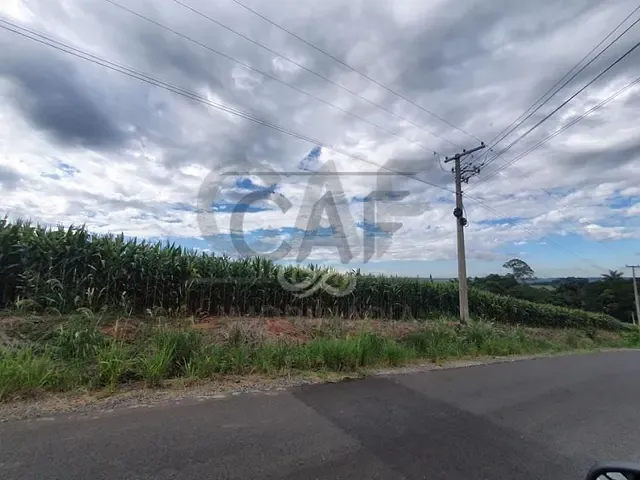 Sítio com 37000m², à venda, no bairro Pinhalzinho em Jaguariúna