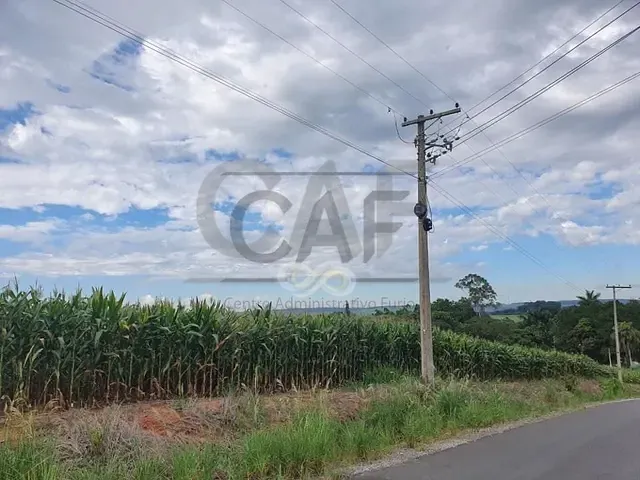 Sítio com 37000m², à venda, no bairro Pinhalzinho em Jaguariúna